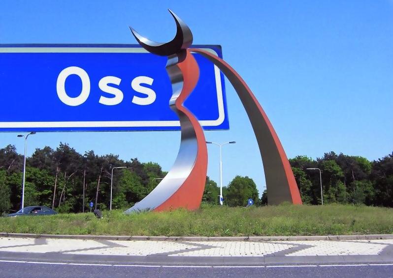 Laptop scherm reparatie  Oss